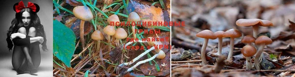 mix Аркадак